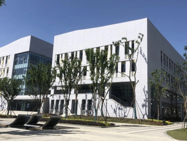 案例展示