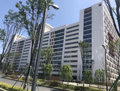 案例展示