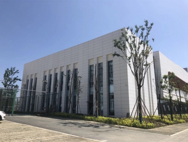 案例展示
